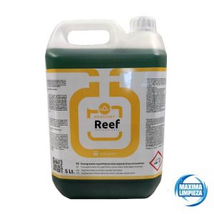 REEF DESENGRASANTE SUPERF POROSAS (5L) LQ